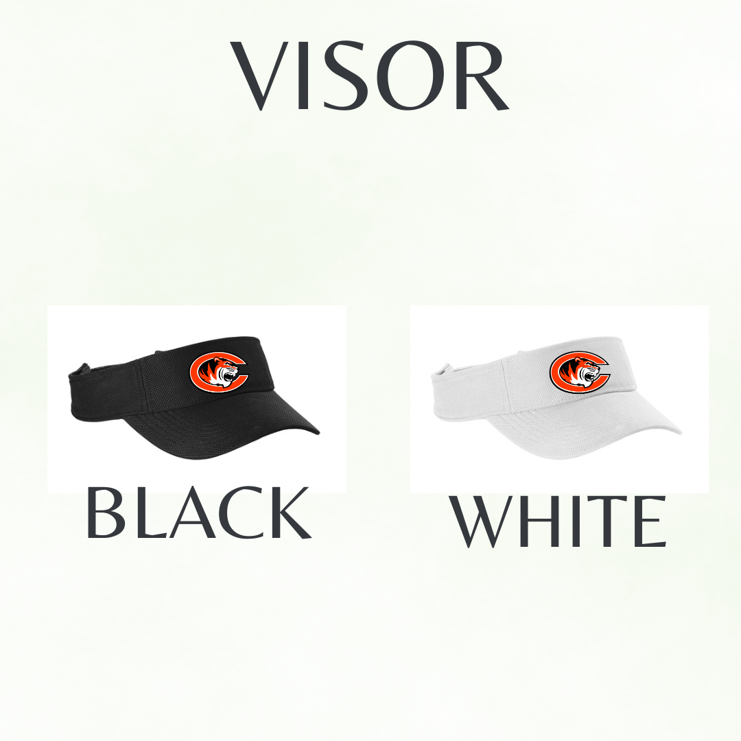 Logo Visor