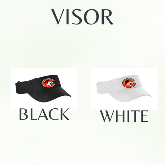 Logo Visor